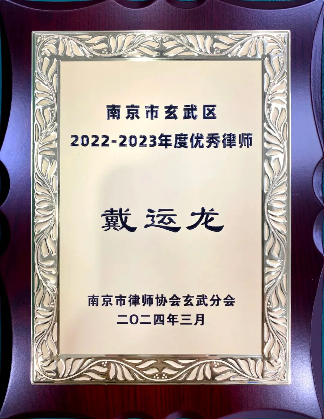 玄武区召开南京市律师协会玄武分会成立暨玄武区2024年律师工作会议—图片3