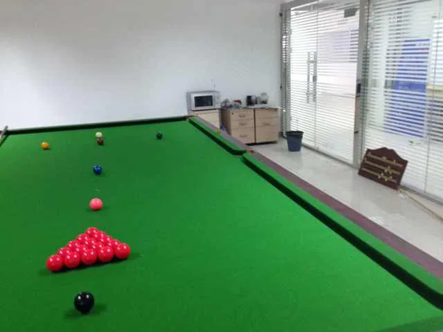 苏延所组织开展的斯诺克友谊大赛成功落幕—图片2