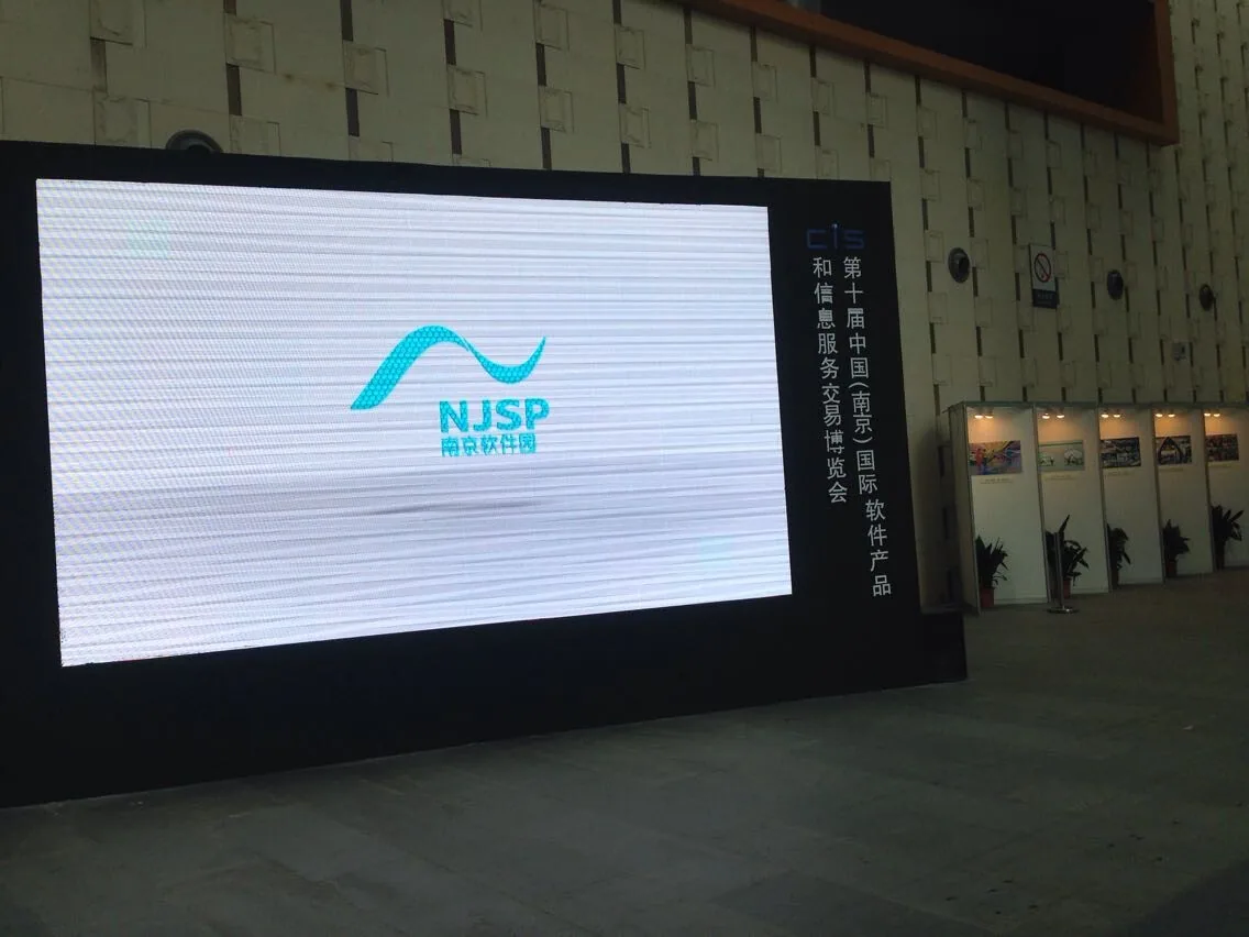 苏延所应邀参加第十届中国南京软件博览会—图片3