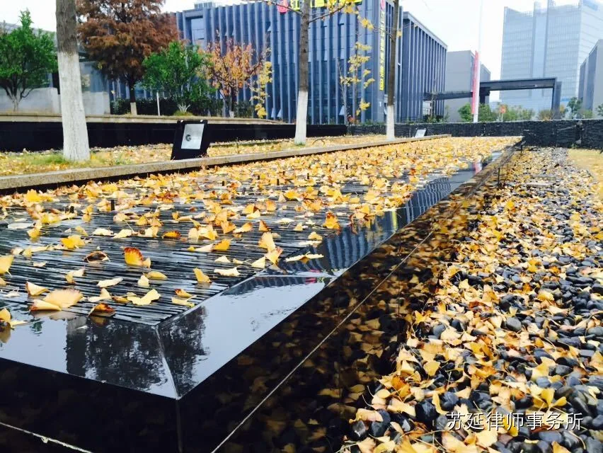 苏延律所启动2015年新锐律师30名招募计划—图片2