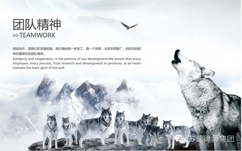 苏延律所启动2015年新锐律师30名招募计划—图片1